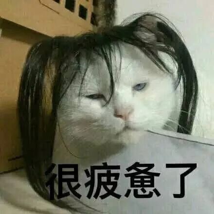 宠物发情喂避孕药可以吗？这些后果需要考虑