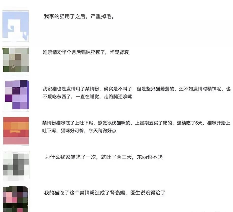 宠物发情喂避孕药可以吗？这些后果需要考虑