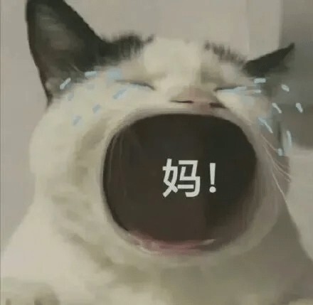 宠物发情喂避孕药可以吗？这些后果需要考虑