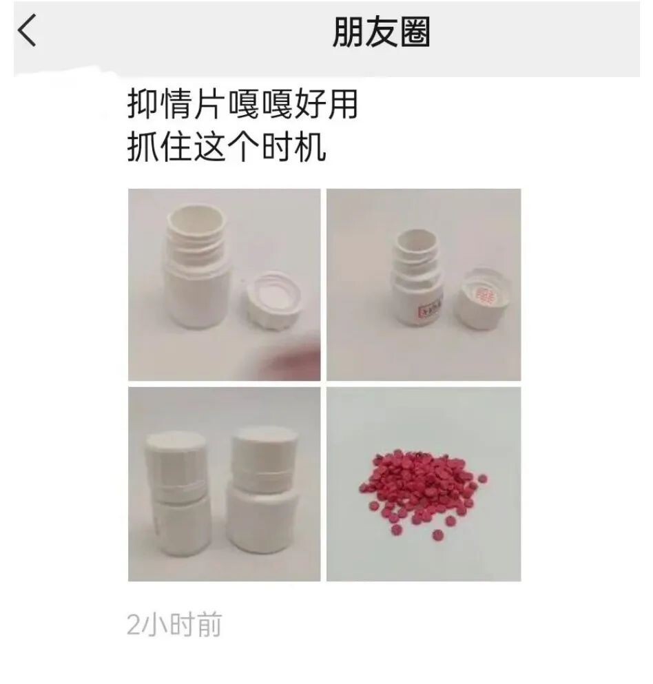 宠物发情喂避孕药可以吗？这些后果需要考虑