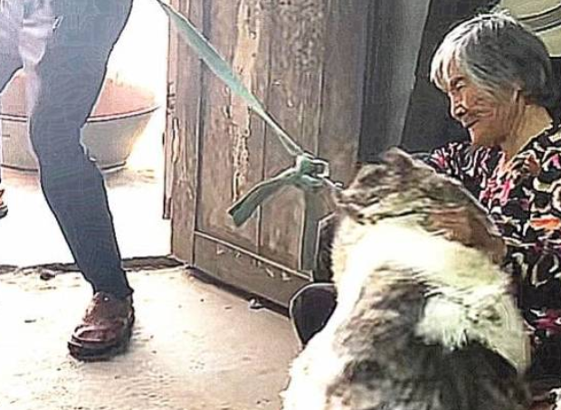 狗狗自小给奶奶养，长大后却要被接走，分离场面让人鼻头发酸