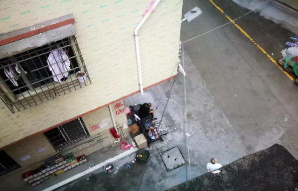 天上掉下来一只狗，被砸中的女子成一级伤残，法院判赔117万
