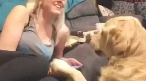 傲娇了8年的秋田犬，近期老想跟父亲一块儿睡，你還是我以前了解的你不？