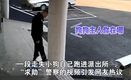 派出所里来了1只狗狗，围着警察们到处转：哪里来的小可爱呀？