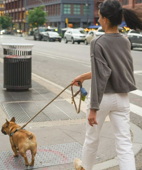 狗主人破口大骂：“我每日都遛猫遛狗，为何狗狗還是撕家？