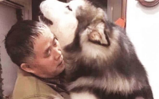 狗狗犯错误,被主人家骂哭,接着竟跳至老年人的身上,不断地发嗲发牢骚
