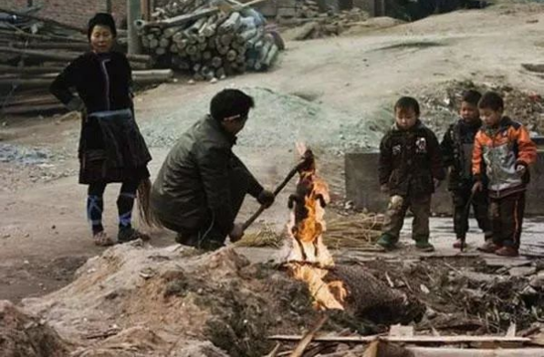 小区来了只流浪狗，保安男子烧了堆火：烧烤狗肉！