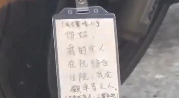 狗狗每日守去医院大门口，大家了解实情后被打动了！