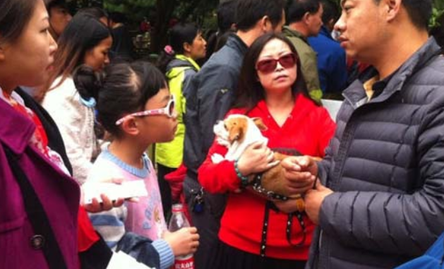 宠物狗禁入起争执，一家10口驾车千里到九寨沟未游负气而归