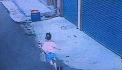 12岁女童被黑狗狂吠追90米，女孩活活被吓死，狗主人赔180万
