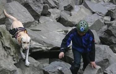 狗狗照顾新生奶猫，紧张到僵硬，直到被小爪子抱住了舌头！