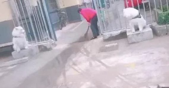 二只萨摩耶被作为石狮子，在正门口的两侧执勤，狗：出去做个做兼职
