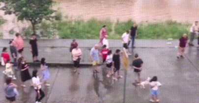 暴雨倾盆狗窝被淹,勇敢狗妈妈跳入洪水中救小奶狗,还惊动了民警