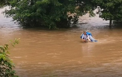 暴雨倾盆狗窝被淹，勇敢狗妈妈跳入洪水中救小奶狗，还惊动了民警
