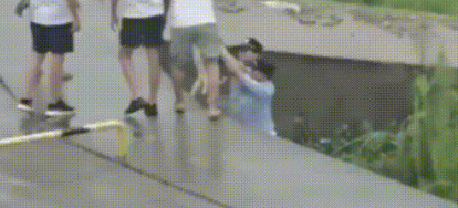 暴雨倾盆狗窝被淹,勇敢狗妈妈跳入洪水中救小奶狗,还惊动了民警