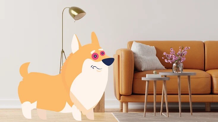 狗狗的红眼病（结膜炎）：症状与原因