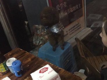 你妈好不容易出来撸个串，你还不安分乱跑。我还治不了你咯！