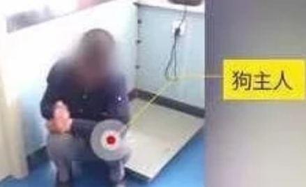 因吃两个饺子 狗狗被主人数刀砍死遗弃路边:不爱也不要去伤害它