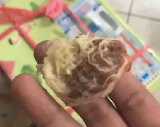 几箱桃子放地面上，被3只法斗开箱偷食了，狗：替你尝一尝甜不甜！