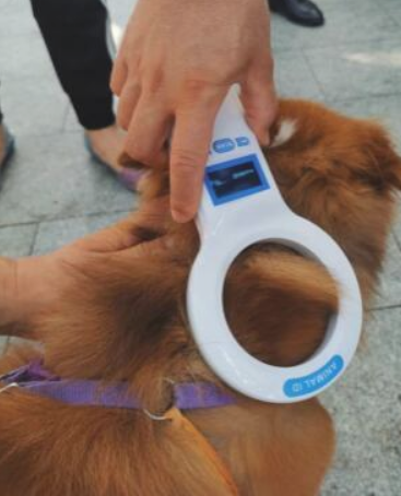 深圳市犬只未嵌入集成ic将被看作无证养犬!