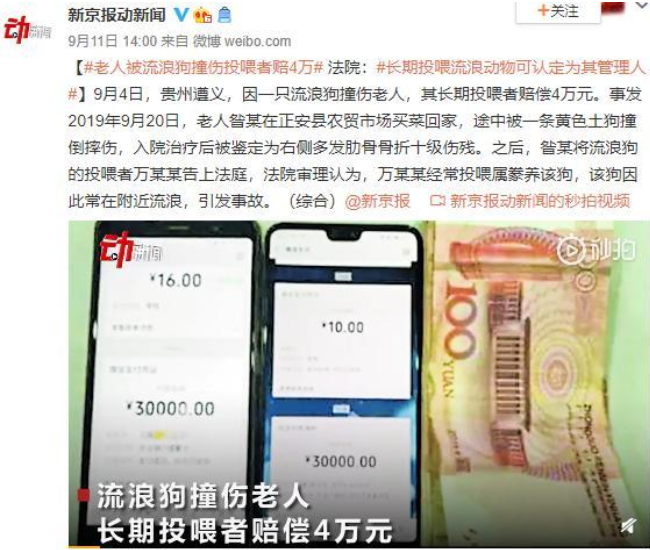 「流浪狗肇事，投喂者赔4万」，再次让中国道德水平严重倒退