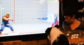 鼻子摇推杆再用腿按键 电玩天才牧羊犬3秒按出波动拳
