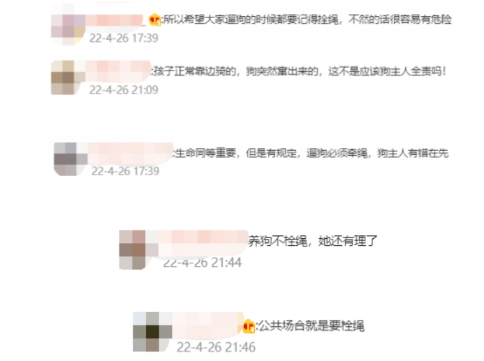 遛狗不拴绳致骑车男孩摔骨折，狗主人的反应让网友不淡定了