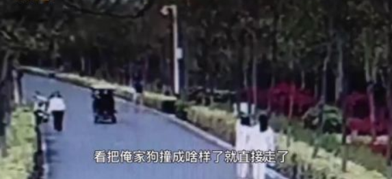 遛狗不拴绳致骑车男孩摔骨折，狗主人的反应让网友不淡定了
