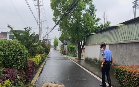 新庄,一条狗咬了多人!