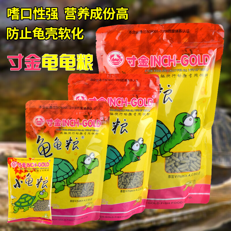 乌龟感冒肺炎如何处理?新手养龟必看
