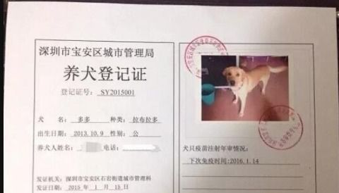 小狗健康证怎么办理，小狗办健康证去哪里办