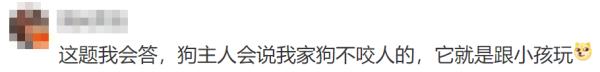 小女孩被未拴绳小狗狂追近30秒后摔倒，狗主人竟淡定围观