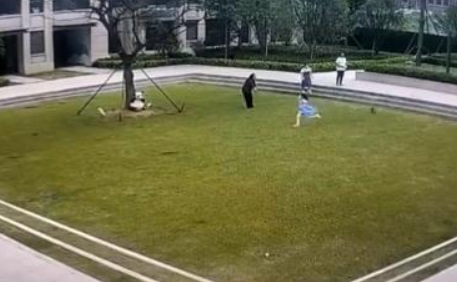 小女孩被未拴绳小狗狂追近30秒后摔倒，狗主人竟淡定围观