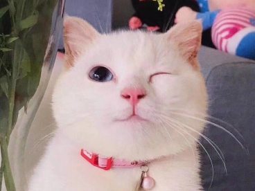 教你撩妹套路