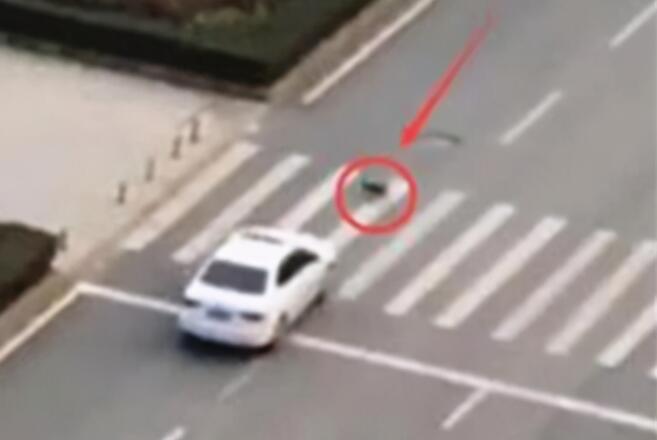 宠物狗闯红灯被车撞死，狗主人向车主索赔18万？交警判罚让人拍手称快