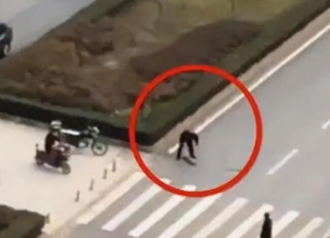 宠物狗闯红灯被车撞死，狗主人向车主索赔18万？交警判罚让人拍手称快