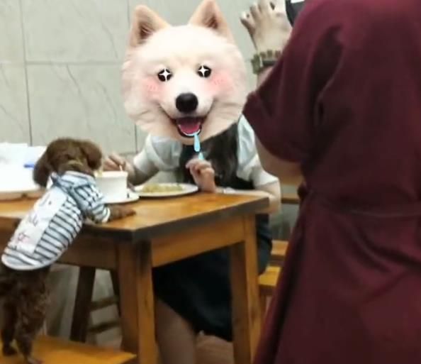 狗狗上桌吃饭,惊呆众人,网友：以后不会去了