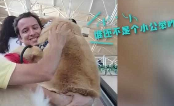 快一百斤大金毛怕坐电梯，要小哥抱抱才敢上：你说你丢不丢狗？
