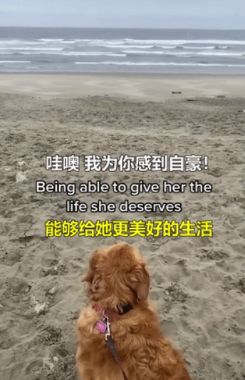 因为养狗，一年减了177斤