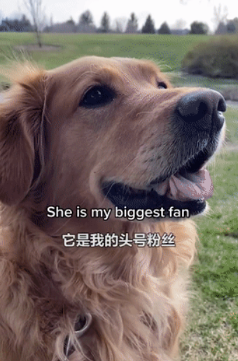 因为养狗，一年减了177斤
