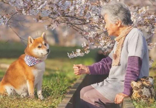 因为养狗，一年减了177斤
