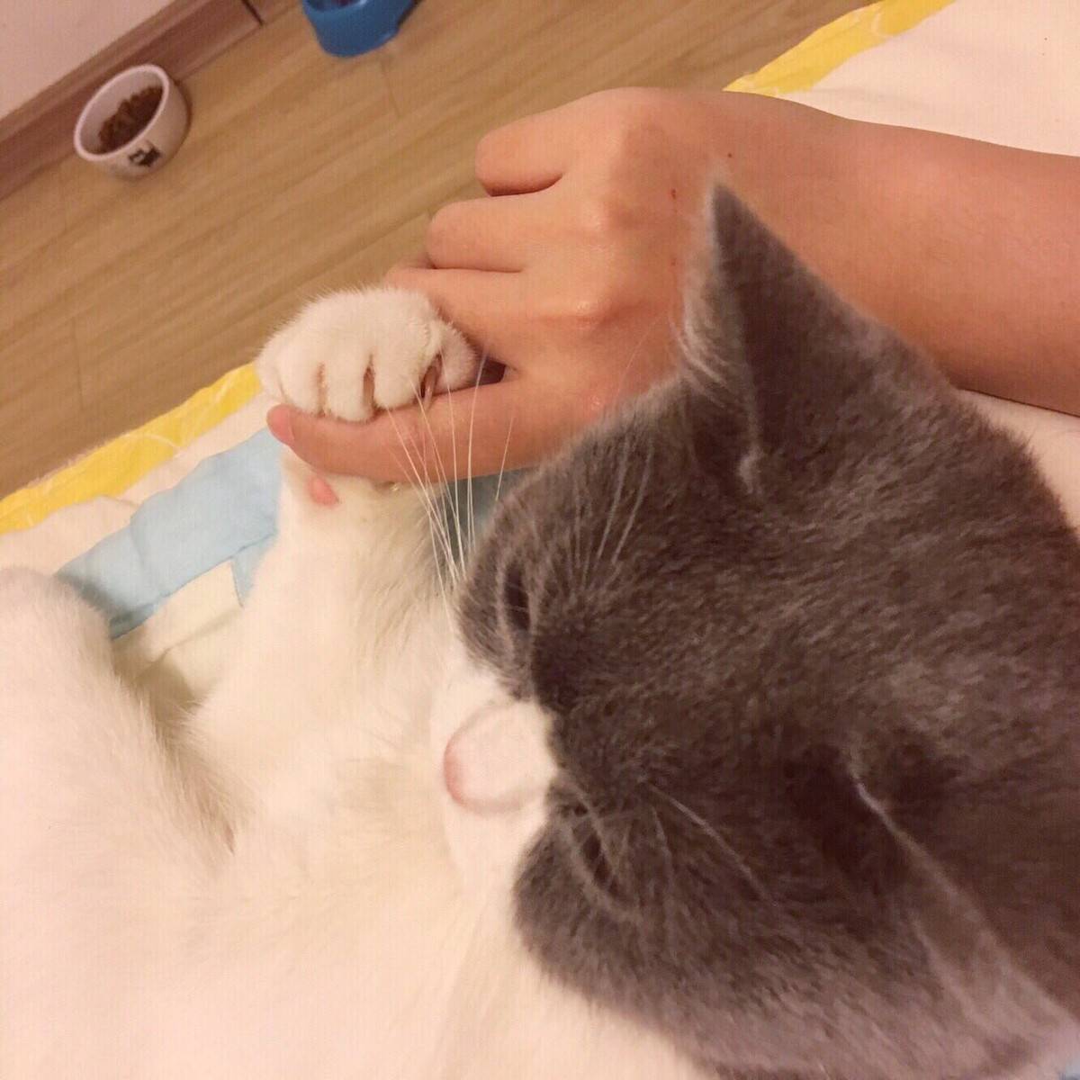 臭咪，你要把麻麻吃点嘛！