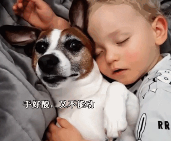小主人搂着狗狗入睡，狗狗醒来害怕惊动小主人，一动不动好温暖