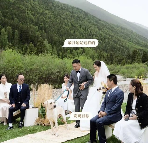 “狗在婚礼上抢走了我老公”，网友婚礼现场发生意外，笑翻了