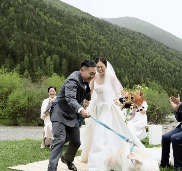 “狗在婚礼上抢走了我老公”，网友婚礼现场发生意外，笑翻了