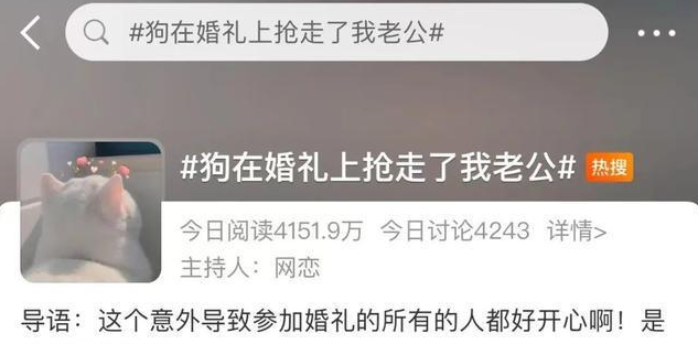 “狗在婚礼上抢走了我老公”，网友婚礼现场发生意外，笑翻了