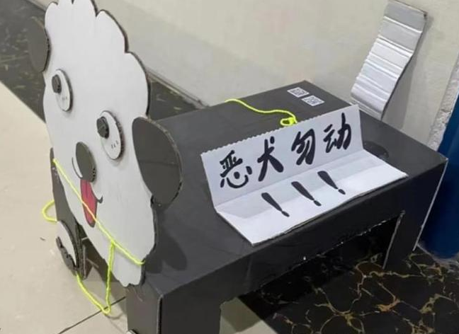 高校新宠“纸箱小狗”频出,当代大学生都咋了?心理专家给出分析