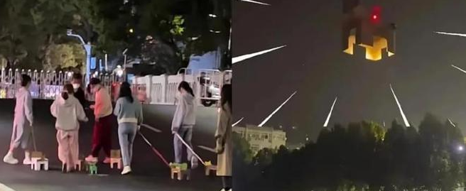 高校新宠“纸箱小狗”频出,当代大学生都咋了?心理专家给出分析