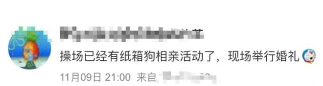高校新宠“纸箱小狗”频出,当代大学生都咋了?心理专家给出分析