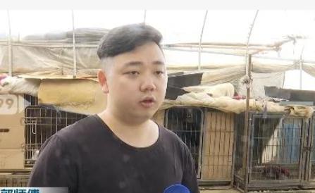 昆明一养殖基地60只狗中毒身亡，老板怀疑有人故意投毒